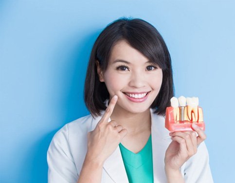 a dentist holding a model of dental implants